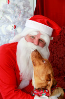 Santa with Dogs, Roosters & Farrets 12-05-09